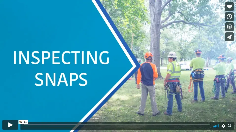 How-To: Inspecting Your Snaps