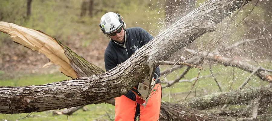 Injury Prevention Starts with PPE