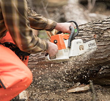 chainsaw training chainsaw training