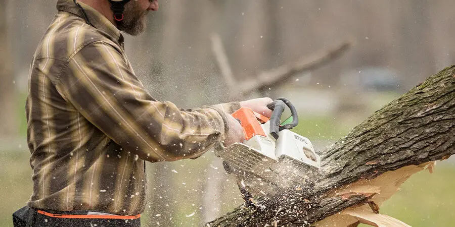 chainsaw-training-4-e1666892859749 chainsaw training